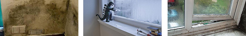 Poor Condensation Control causes Black Mould