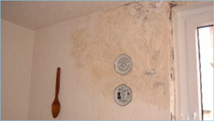 An example of Penetrating Damp damaging walls