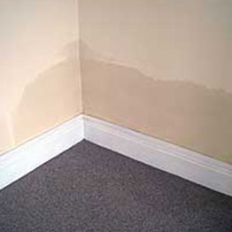 Rising Damp showing on plasterboard