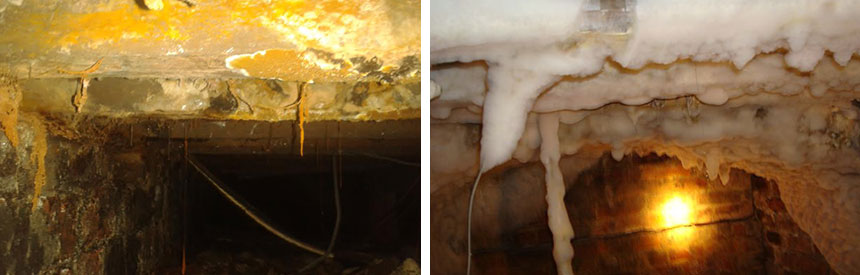 Dry Rot and its treatment - Gosforth, Newcastle upon Tyne
