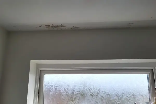 Black spot mould in bedroom in Blyth, Northumberland
