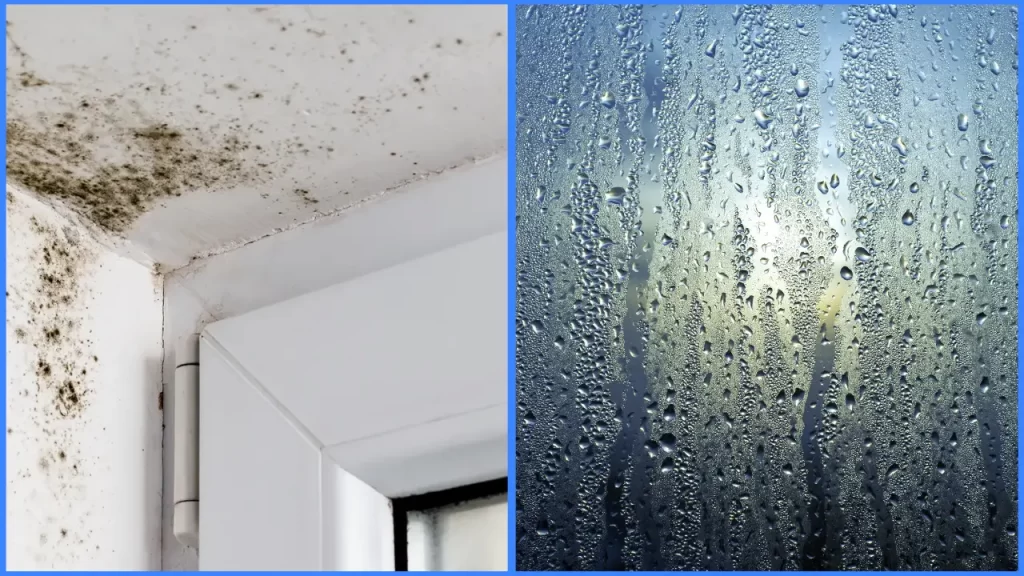 Mould, mildew & condensation Treatment in Blyth, Northumberland