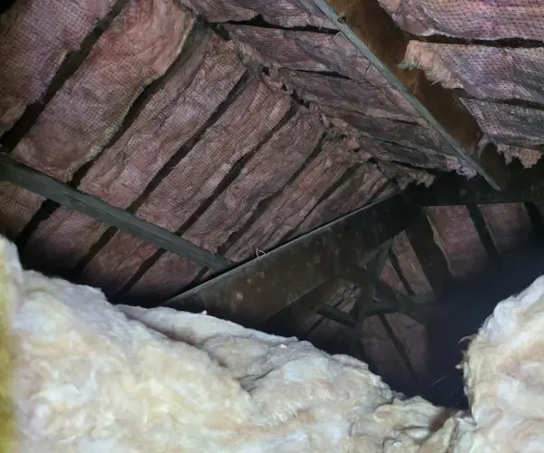 Woodworm infestion in loft area - Newcastle Upon Tyne